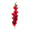 kikkapink deco scrap red flowers branch - фрее пнг анимирани ГИФ