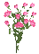 flowers katrin - Besplatni animirani GIF animirani GIF