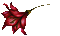 red flower glitter - Бесплатный анимированный гифка анимированный гифка