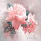 kikkapink deco vintage background spring flowers - Kostenlose animierte GIFs Animiertes GIF