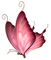 Butterfly- pages -2 - nemokama png animuotas GIF