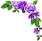Roses.Purple - png gratuito GIF animata