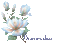 flores - Nemokamas animacinis gif animuotas GIF