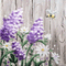 kikkapink background flowers animated