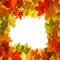 frame autumn leaves kikkapink - gratis png animerad GIF