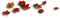 Autumn - 免费PNG 动画 GIF