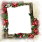 frame cadre flowers - png grátis Gif Animado