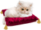 Kaz_Creations Cats Cat Kittens Kitten - 無料png アニメーションGIF