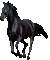 Paard - 無料のアニメーション GIF アニメーションGIF