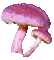 mushrooms - GIF เคลื่อนไหวฟรี GIF แบบเคลื่อนไหว