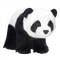 Kaz_Creations Animals Animal Panda - zdarma png animovaný GIF