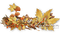 Joys Of Autumn Text - Bogusia - PNG gratuit GIF animé