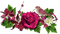 Fleurs.Rose.Flower.Bird.Deco.Victoriabea - PNG gratuit GIF animé