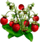 fresas - darmowe png animowany gif