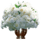 White Roses - bezmaksas png animēts GIF