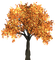 Herbst - kostenlos png Animiertes GIF