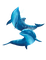 dauphin - Free PNG Animated GIF