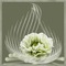 white flowers-sinedot - PNG gratuit GIF animé