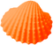 Seashell.Orange - png gratis GIF animado
