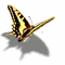 mariposa - Darmowy animowany GIF animowany gif
