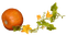 Pumpkin - Bogusia - bezmaksas png animēts GIF