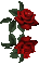 due rose - Безплатен анимиран GIF анимиран GIF