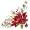 loly33  fleur noël - PNG gratuit GIF animé