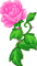 ✶ Rose {by Merishy} ✶ - PNG gratuit GIF animé
