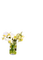 vase with daffodils - PNG gratuit GIF animé