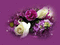 Flores moradas - GIF animé gratuit GIF animé