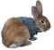 Rabbit.Lapin.Bunny.Conejo.Victoriabea - Free PNG Animated GIF