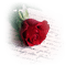 rose rouge.Cheyenne63 - gratis png animeret GIF