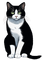 Gato negro - GIF animé gratuit