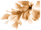 Flower, Flowers, Brown, Deco, Decoration - Jitter.Bug.Girl - 免费PNG 动画 GIF