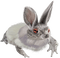 bunny frog - бесплатно png анимированный гифка