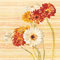 kikkapink spring background animated flowers - Δωρεάν κινούμενο GIF κινούμενο GIF