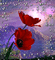 carla - Bezmaksas animēts GIF animēts GIF