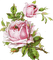 All my lovely flowers - zdarma png animovaný GIF