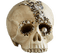 skull by nataliplus - ingyenes png animált GIF