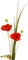 loly33 coquelicot - 免费PNG 动画 GIF