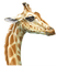 jirafa - png gratuito GIF animata