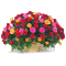 Pot de fleurs - GIF animado grátis Gif Animado