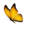 VanessaVallo _crea= yellow butterfly