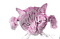 pink cat - PNG gratuit GIF animé