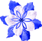 Christmas.Flower.White.Blue - KittyKatLuv65 - Free PNG Animated GIF