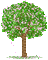 spring tree - Бесплатный анимированный гифка анимированный гифка