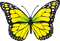 yellow butterfly - png gratuito GIF animata