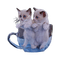 Tube Animaux Chat - 無料png アニメーションGIF