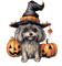 halloween, witch, animal,  herbst, autumn - bezmaksas png animēts GIF
