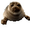 Seal - GIF animado grátis